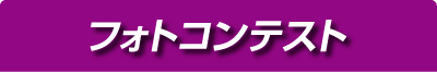 フォトコンテスト