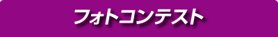 フォトコンテスト